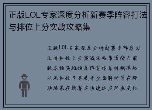 正版LOL专家深度分析新赛季阵容打法与排位上分实战攻略集