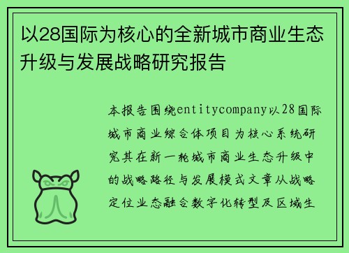 以28国际为核心的全新城市商业生态升级与发展战略研究报告 以28国际为核心的全新城市商业生态升级与发展战略研究报告
